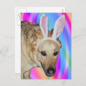 イースターバニー？ シーズンポストカード (正面/裏面)