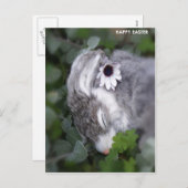 イースターバニー シーズンポストカード (正面/裏面)