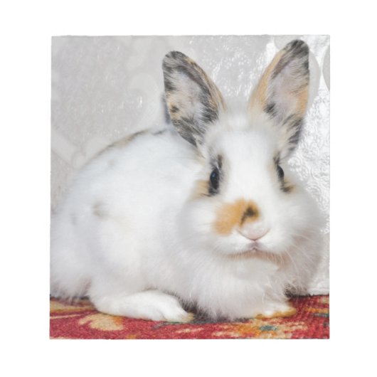 イースターバニー ノートパッド (正面)