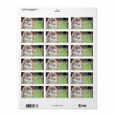 イースターバニー ラベル (フルシート)