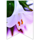 イースターバント バンティングフラッグ (第1の旗)