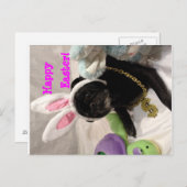 イースターパグポストカード シーズンポストカード (正面/裏面)