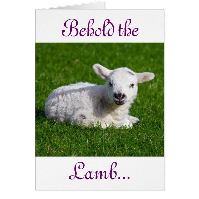 イースタービューホーブザラムホリデーカード (正面)