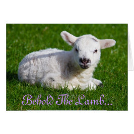 イースタービューホーブザラムホリデーカード