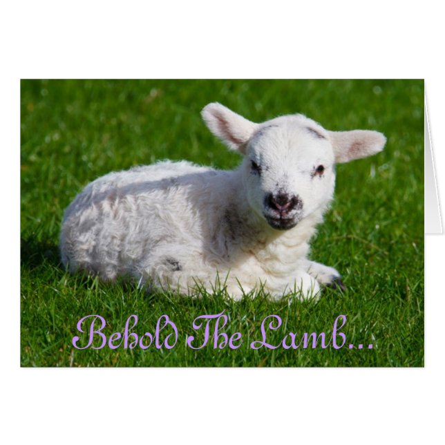 イースタービューホーブザラムホリデーカード (正面横)