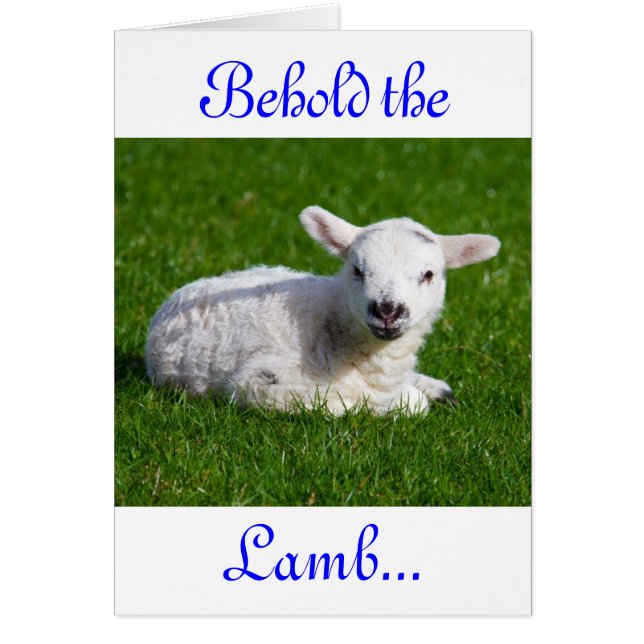 イースタービューホーブザラムIVホリデーカード (正面)