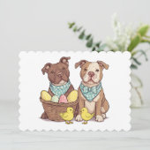 イースターピットブルドッグ シーズンカード (スタンド正面)