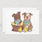 イースターピットブルドッグ シーズンカード (正面/裏面)