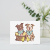 イースターピットブルドッグ シーズンポストカード (スタンド正面)