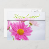 イースターピンクデイジー葉書 シーズンポストカード (正面/裏面)