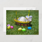 イースターフェレットの郵便はがき シーズンポストカード (正面/裏面)