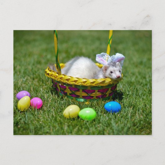 イースターフェレットの郵便はがき シーズンポストカード (正面)