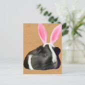 イースターブラック&ホワイトのモルモット ポストカード (スタンド正面)