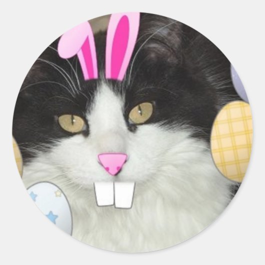 イースターブラック&ホワイトキティ猫 ラウンドシール (正面)
