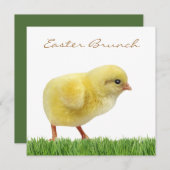 イースターブランチ角5.25インチx 5.25インチ招待状 招待状 (正面/裏面)