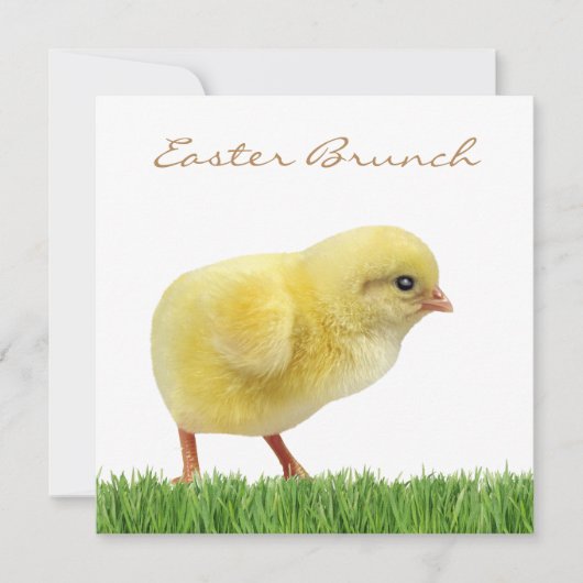 イースターブランチ角5.25インチx 5.25インチ招待状 招待状 (正面)
