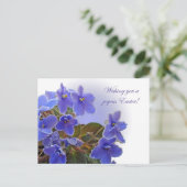 イースターブルーアフリカビオレット シーズンポストカード (スタンド正面)