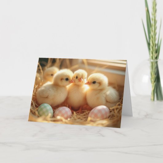 イースターベビーチックスとジンガム卵 シーズンカード (正面)