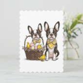 イースターボストンテリア犬 シーズンカード (スタンド正面)