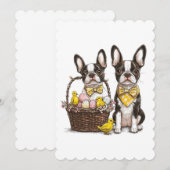 イースターボストンテリア犬 シーズンカード (正面/裏面)