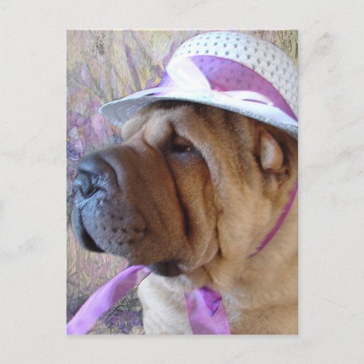 イースターボンネット シーズンポストカード (正面)