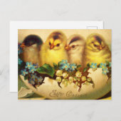 イースターポストカードに4羽の雛 ポストカード (正面/裏面)