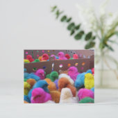 イースターポストカード シーズンポストカード (スタンド正面)