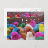 イースターポストカード シーズンポストカード (正面/裏面)