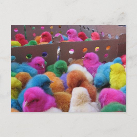 イースターポストカード シーズンポストカード (正面)