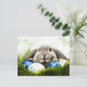 イースターポストカード シーズンポストカード (スタンド正面)