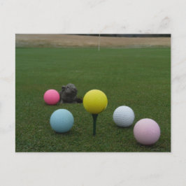 イースターマウンテンゴルフコース シーズンポストカード