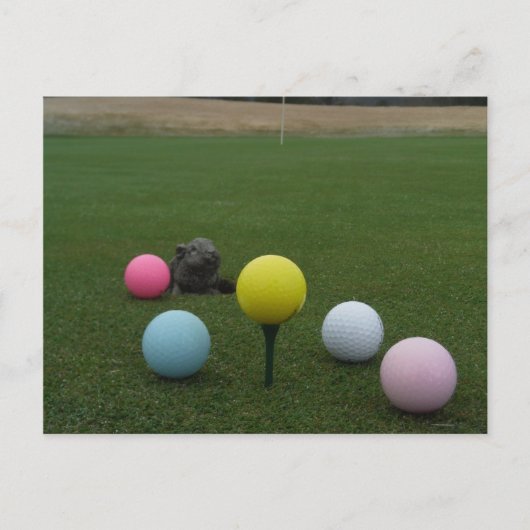 イースターマウンテンゴルフコース シーズンポストカード (正面)