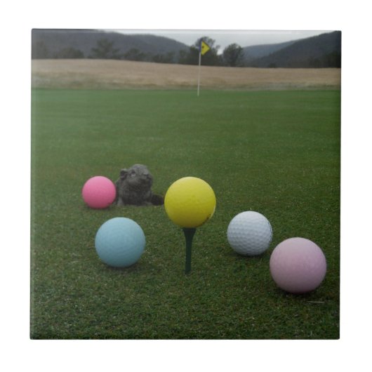 イースターマウンテンゴルフコース タイル (正面)