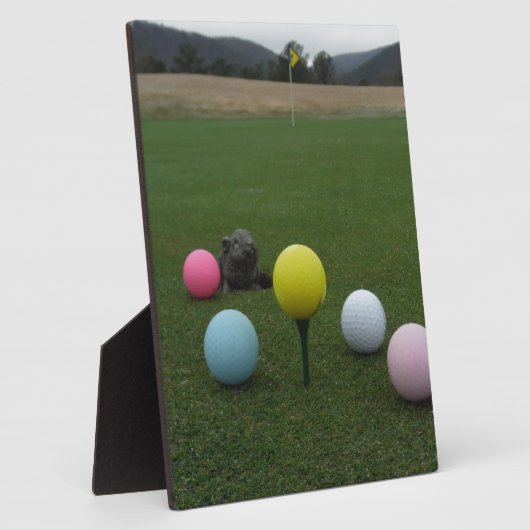 イースターマウンテンゴルフコース フォトプラーク (側面)