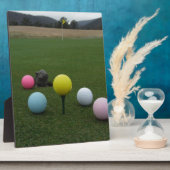 イースターマウンテンゴルフコース フォトプラーク (側面)