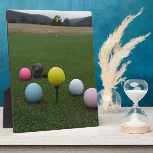 イースターマウンテンゴルフコース フォトプラーク (側面)