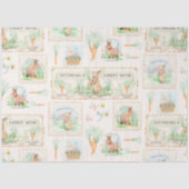 イースターラビットキャロットパッチフローラウッドデコパージュ 薄葉紙 (正面)