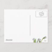 イースターラビット春ガーデン シーズンポストカード (裏面)