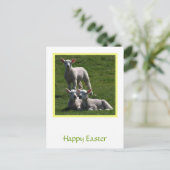 イースターランブズポストカード シーズンポストカード (スタンド正面)