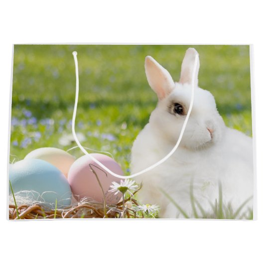 イースターラージ抱き枕 ラージペーパーバッグ (正面)