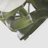 イースターリリーフローラデコペティッシュペーパー 薄葉紙 (詳細)