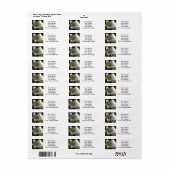 イースターリリー白 ラベル (フルシート)