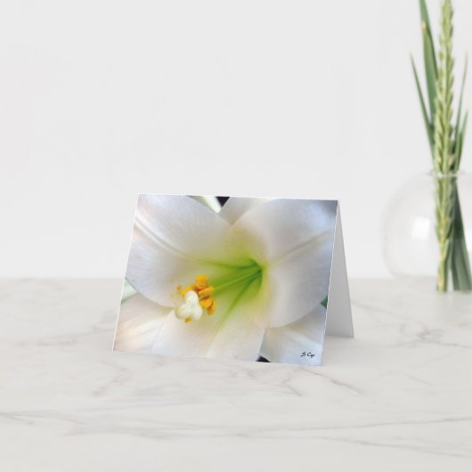 イースターリリー シーズンカード (正面)