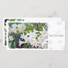 イースターリリー [ユリ] 案内状