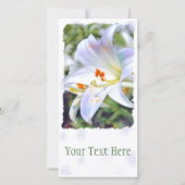 イースターリリー [ユリ] 案内状 (正面)