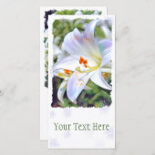 イースターリリー [ユリ] 案内状 (正面/裏面)