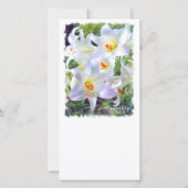 イースターリリー [ユリ] 案内状 (裏面)