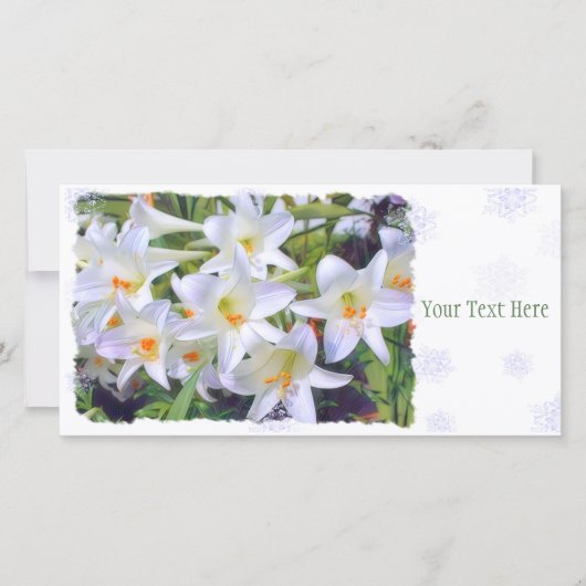 イースターリリー [ユリ] 案内状 (正面)