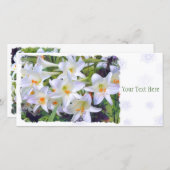 イースターリリー [ユリ] 案内状 (正面/裏面)