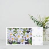 イースターリリー [ユリ] 案内状 (スタンド正面)